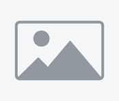 Platform section preview